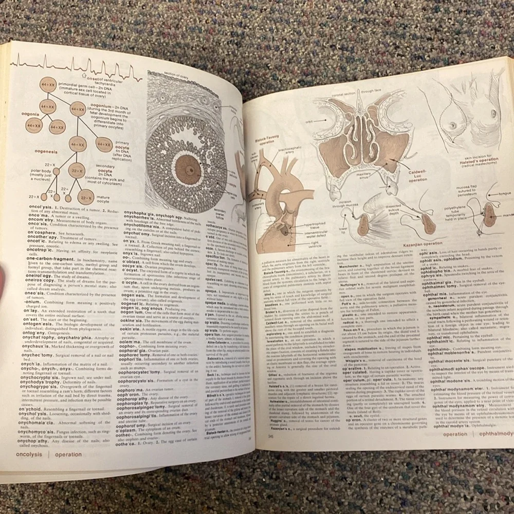 Vintage antique hardcover medical book - timeless resource and cool collectible - Picture 6 of 7